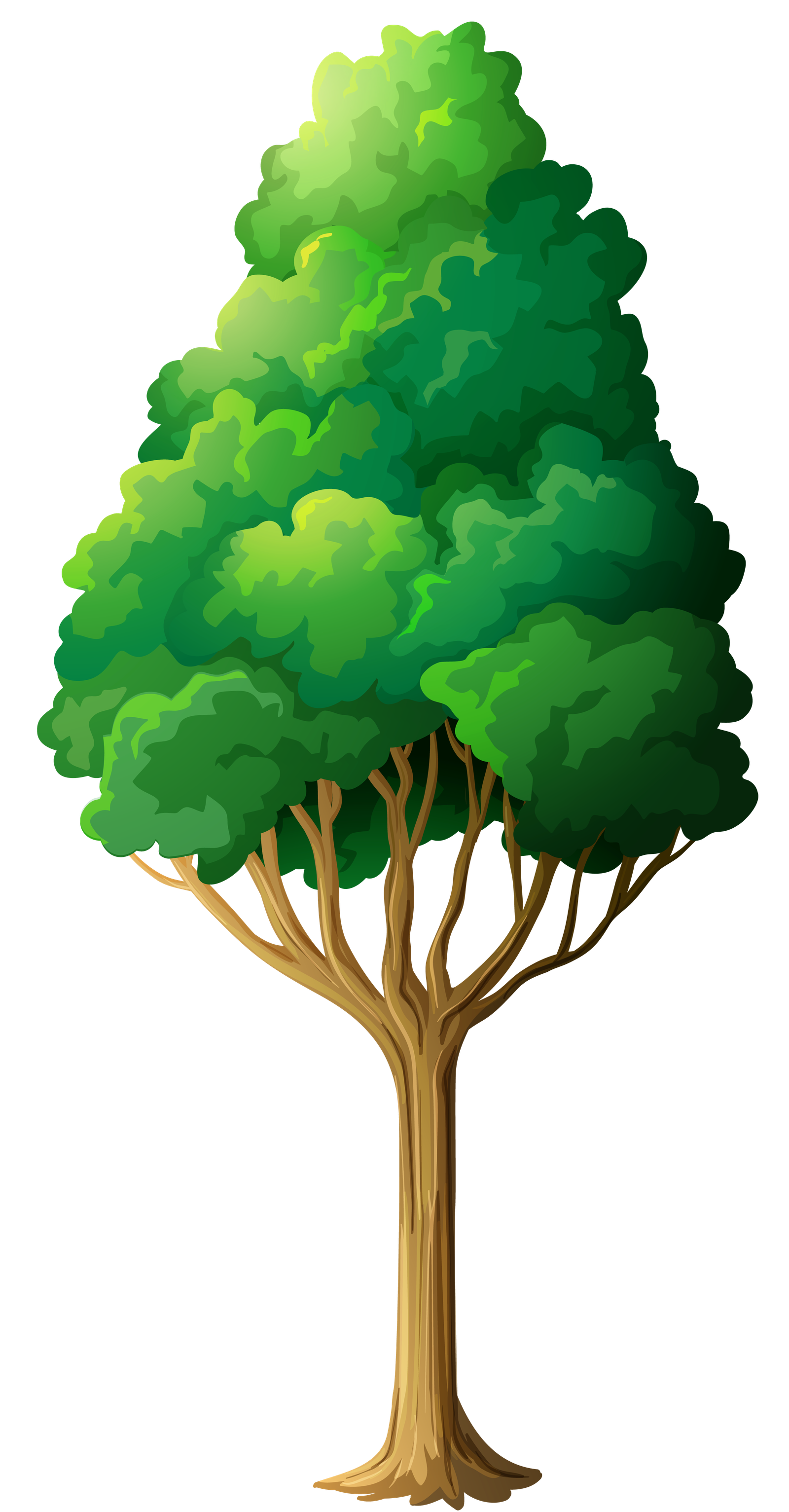 Growing tree